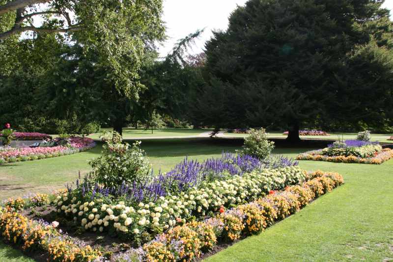 Nieuw-Zeeland 2011 - 2148